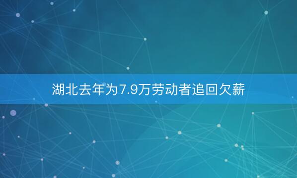 湖北去年为7.9万劳动者追回欠薪
