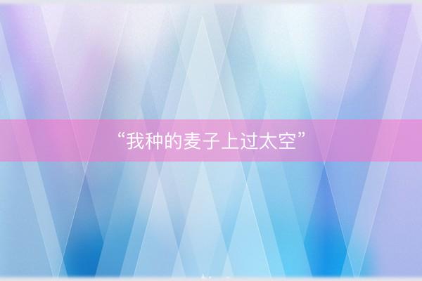 “我种的麦子上过太空”