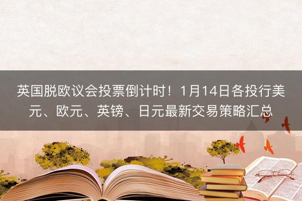 英国脱欧议会投票倒计时！1月14日各投行美元、欧元、英镑、日元最新交易策略汇总