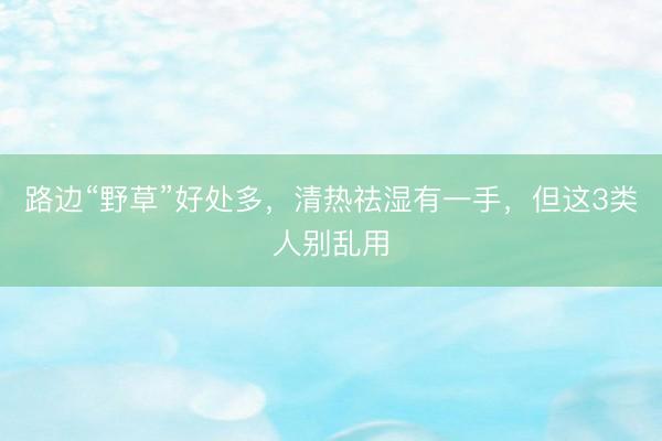 路边“野草”好处多，清热祛湿有一手，但这3类人别乱用