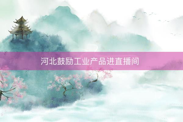 河北鼓励工业产品进直播间 
