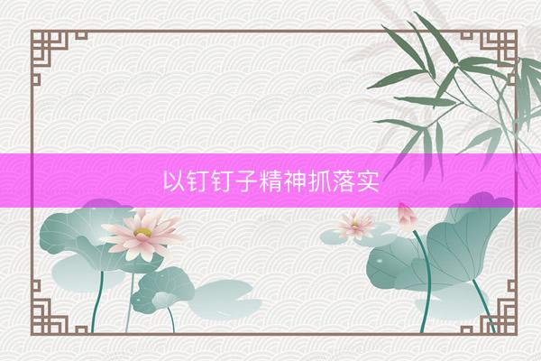 以钉钉子精神抓落实