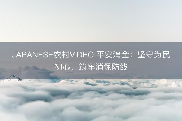 JAPANESE农村VIDEO 平安消金：坚守为民初心，筑牢消保防线