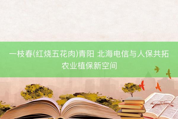 一枝春(红烧五花肉)青阳 北海电信与人保共拓农业植保新空间