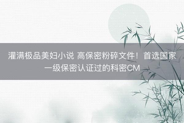 灌满极品美妇小说 高保密粉碎文件！首选国家一级保密认证过的科密CM