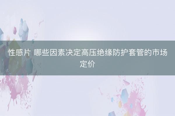 性感片 哪些因素决定高压绝缘防护套管的市场定价