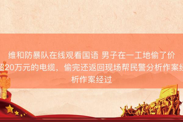 维和防暴队在线观看国语 男子在一工地偷了价值超20万元的电缆，偷完还返回现场帮民警分析作案经过