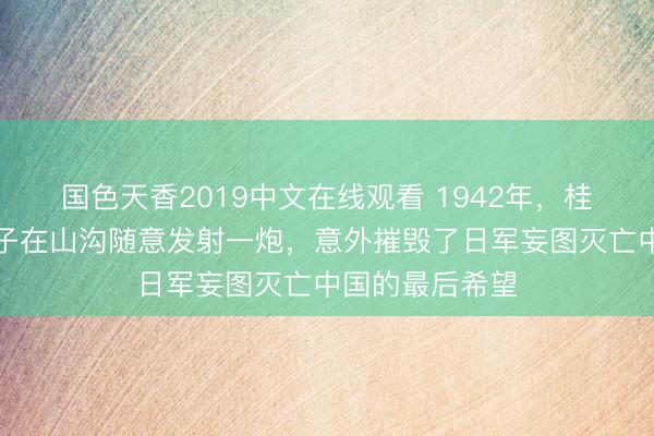 国色天香2019中文在线观看 1942年，桂军几名新兵蛋子在山沟随意发射一炮，意外摧毁了日军妄图灭亡中国的最后希望