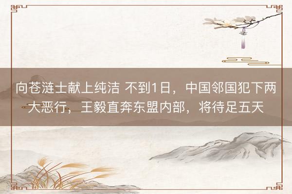 向苍涟士献上纯洁 不到1日,中国邻国犯下两大恶行,王毅直奔东盟内部,将待足五天