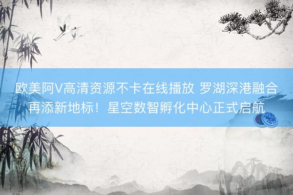 欧美阿V高清资源不卡在线播放 罗湖深港融合再添新地标！星空数智孵化中心正式启航
