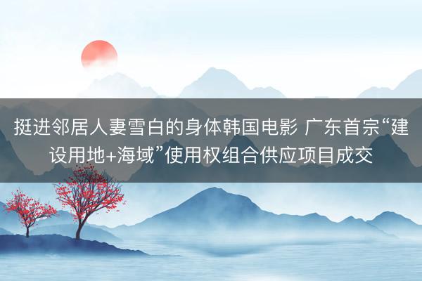 挺进邻居人妻雪白的身体韩国电影 广东首宗“建设用地+海域”使用权组合供应项目成交