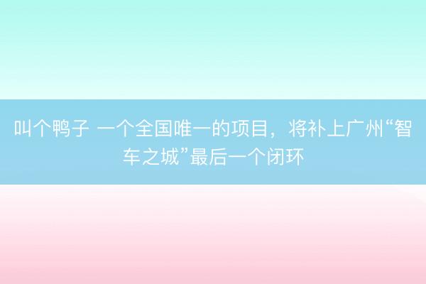 叫个鸭子 一个全国唯一的项目，将补上广州“智车之城”最后一个闭环