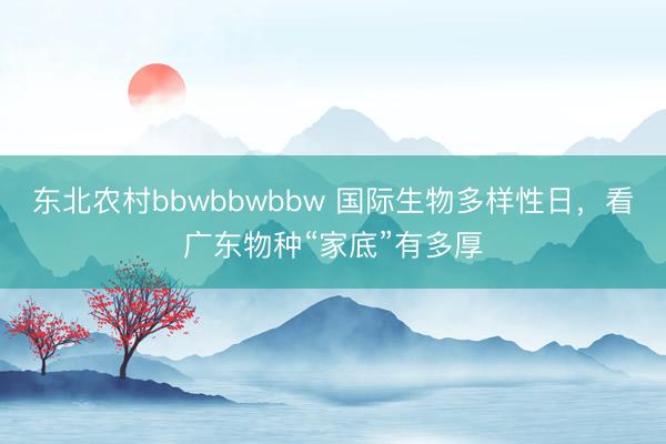 东北农村bbwbbwbbw 国际生物多样性日,看广东物种“家底”有多厚