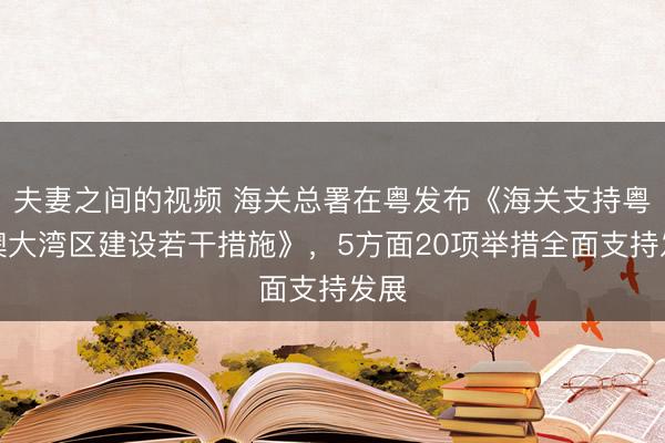 夫妻之间的视频 海关总署在粤发布《海关支持粤港澳大湾区建设若干措施》，5方面20项举措全面支持发展