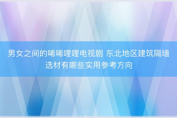 男女之间的唏唏哩哩电视剧 东北地区建筑隔墙选材有哪些实用参考方向