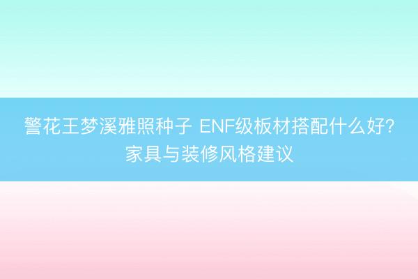 警花王梦溪雅照种子 ENF级板材搭配什么好?家具与装修风格建议