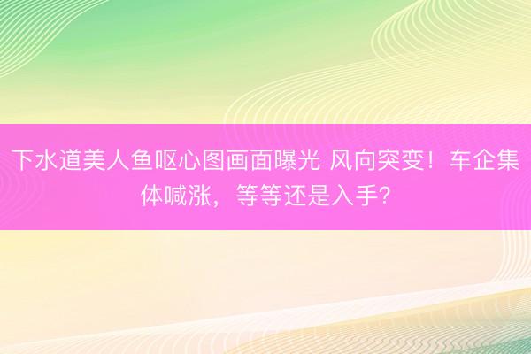 下水道美人鱼呕心图画面曝光 风向突变！车企集体喊涨，等等还是入手？