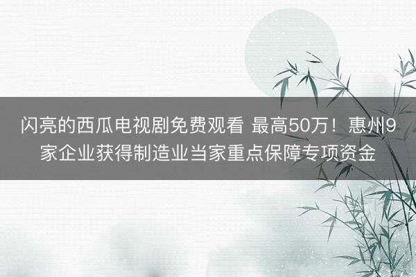 闪亮的西瓜电视剧免费观看 最高50万！惠州9家企业获得制造业当家重点保障专项资金