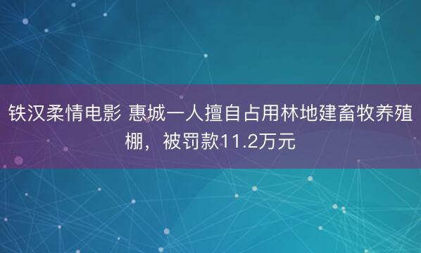铁汉柔情电影 惠城一人擅自占用林地建畜牧养殖棚，被罚款11.2万元
