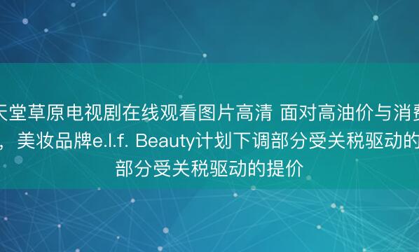 天堂草原电视剧在线观看图片高清 面对高油价与消费疲软，美妆品牌e.l.f. Beauty计划下调部分受关税驱动的提价