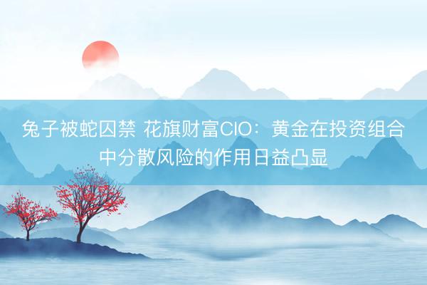 兔子被蛇囚禁 花旗财富CIO:黄金在投资组合中分散风险的作用日益凸显
