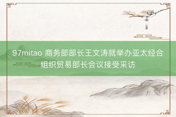 97mitao 商务部部长王文涛就举办亚太经合组织贸易部长会议接受采访