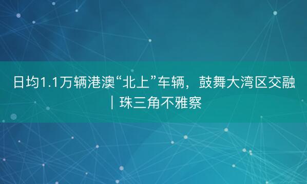 日均1.1万辆港澳“北上”车辆，鼓舞大湾区交融｜珠三角不雅察