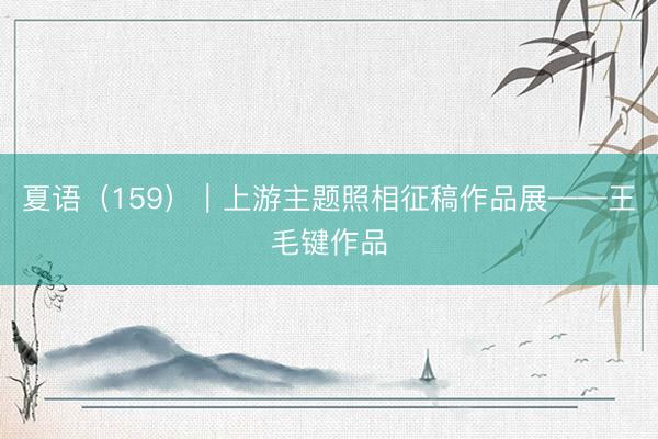 夏语（159）｜上游主题照相征稿作品展——王毛键作品