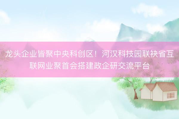 龙头企业皆聚中央科创区！河汉科技园联袂省互联网业聚首会搭建政企研交流平台