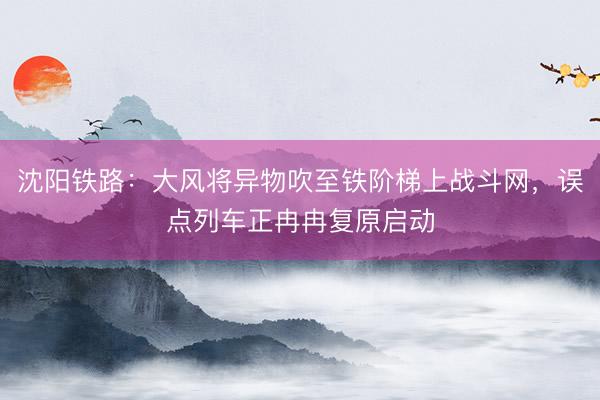 沈阳铁路:大风将异物吹至铁阶梯上战斗网,误点列车正冉冉复原启动