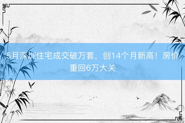 5月深圳住宅成交破万套，创14个月新高！房价重回6万大关