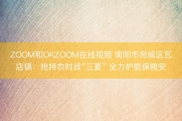 ZOOM和OKZOOM在线视频 南阳市宛城区瓦店镇：抢持农时战“三夏” 全力护航保粮安