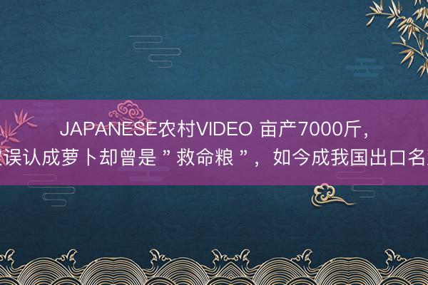 JAPANESE农村VIDEO 亩产7000斤，被误认成萝卜却曾是＂救命粮＂，如今成我国出口名蔬