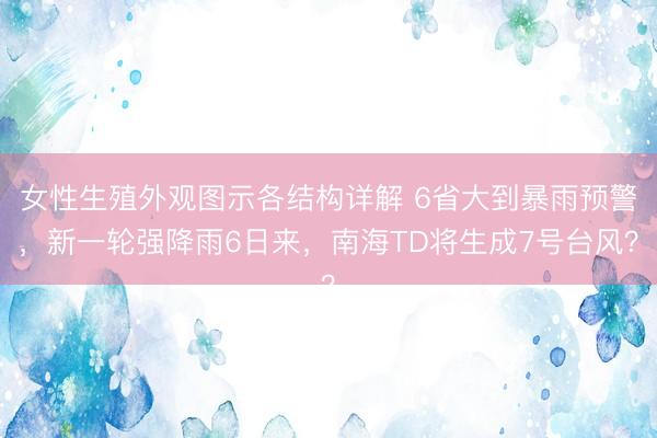 女性生殖外观图示各结构详解 6省大到暴雨预警，新一轮强降雨6日来，南海TD将生成7号台风？