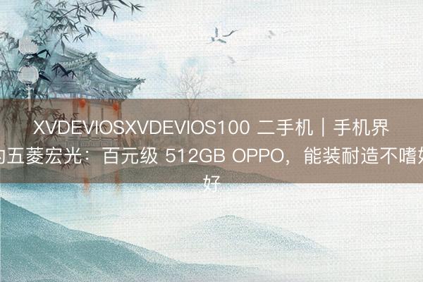 XVDEVIOSXVDEVIOS100 二手机｜手机界的五菱宏光：百元级 512GB OPPO，能装耐造不嗜好