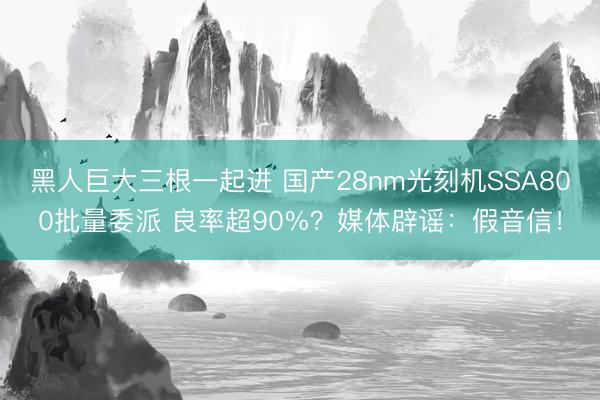 黑人巨大三根一起进 国产28nm光刻机SSA800批量委派 良率超90%？媒体辟谣：假音信！