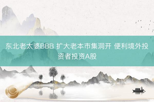 东北老太婆BBB 扩大老本市集洞开 便利境外投资者投资A股