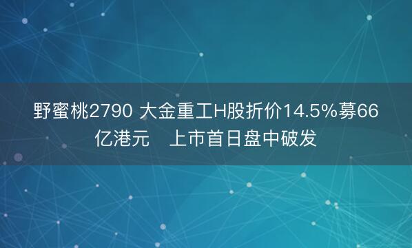 野蜜桃2790 大金重工H股折价14.5%募66亿港元 上市首日盘中破发
