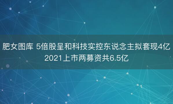 肥女图库 5倍股呈和科技实控东说念主拟套现4亿 2021上市两募资共6.5亿