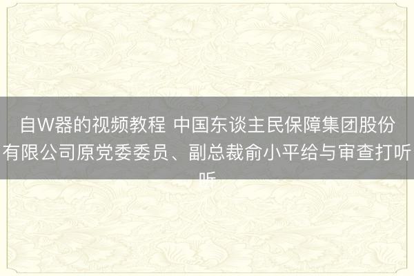 自W器的视频教程 中国东谈主民保障集团股份有限公司原党委委员、副总裁俞小平给与审查打听