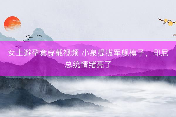 女士避孕套穿戴视频 小泉提拔军舰模子，印尼总统情绪亮了
