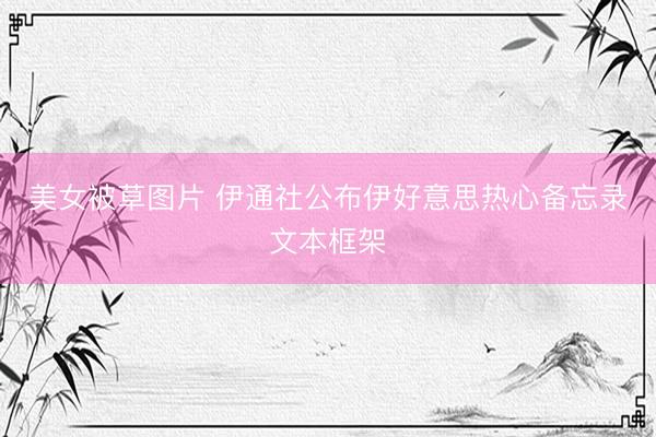 美女被草图片 伊通社公布伊好意思热心备忘录文本框架
