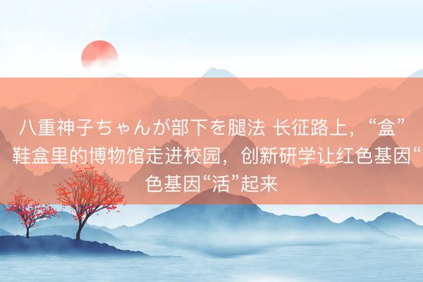 八重神子ちゃんが部下を腿法 长征路上，“盒”你同业：鞋盒里的博物馆走进校园，创新研学让红色基因“活”起来