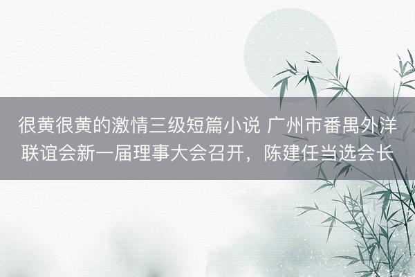 很黄很黄的激情三级短篇小说 广州市番禺外洋联谊会新一届理事大会召开，陈建任当选会长