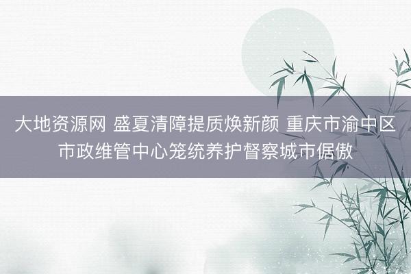 大地资源网 盛夏清障提质焕新颜 重庆市渝中区市政维管中心笼统养护督察城市倨傲